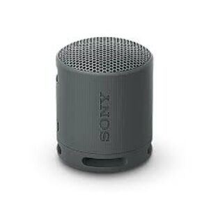 Sony SRS-XB100 Wireless Bluetooth Portable Speaker - Gray